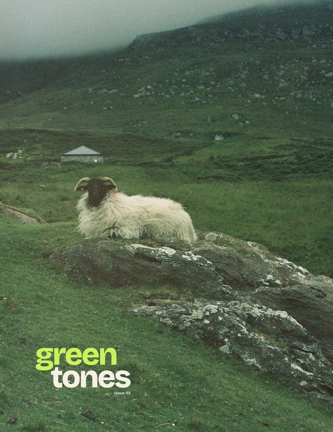 Issue 02 — cover