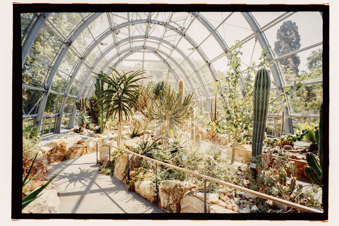 Photograph by @camerasamera — Natura Under Glass in Köln - June 2026