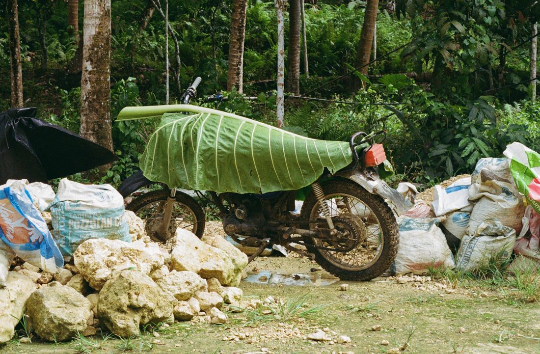 Photograph by @elsewherebymaria — Across Asia, in Green