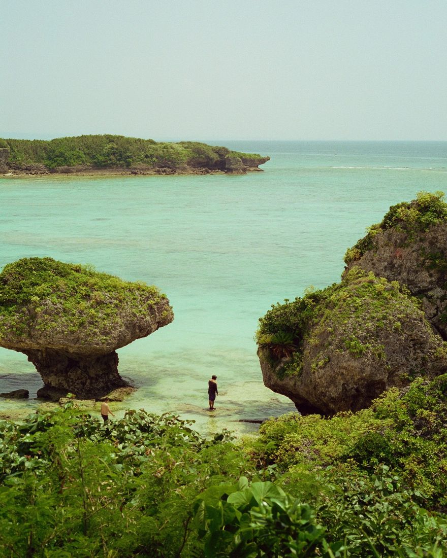 Photograph by @rivercafferata — Green Dreams